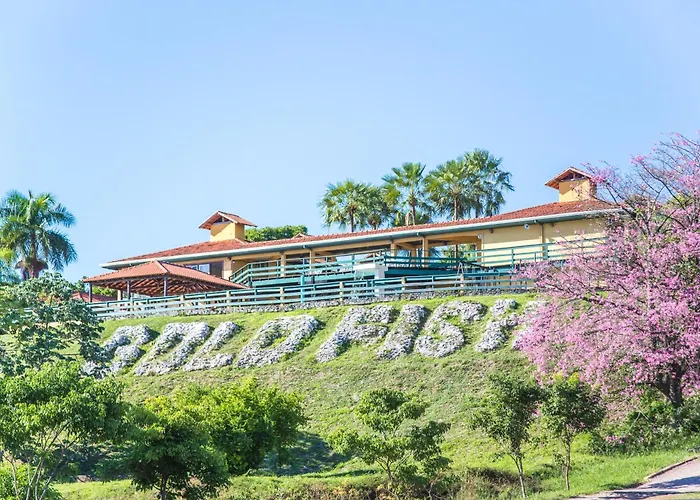 Candeias Hotel Gold Fish